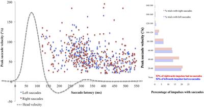 Age Is a Greater Influence on Small Saccades Than Target Size in Normal Subjects on the Horizontal Video Head Impulse Test